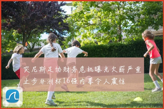 突尼斯足协财务危机曝光欠薪严重止步非洲杯16强内幕令人震惊