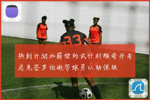 热刺计划加薪续约武什科维奇并考虑免签罗伯逊等球员以助保级